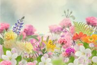 【心理診断】忘れ物で明らかになる、あなたの恋愛偏差値どれくらい?