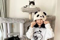 フォロワー32万人超え、“魔性の女”藤あや子が保護猫“マルオレ”のお母さんになって骨抜き!メロメロ生活…