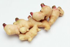 ※写真はイメージです