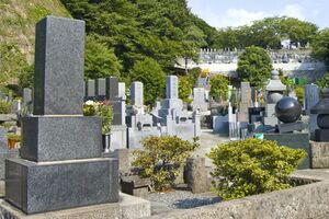 写真はイメージです