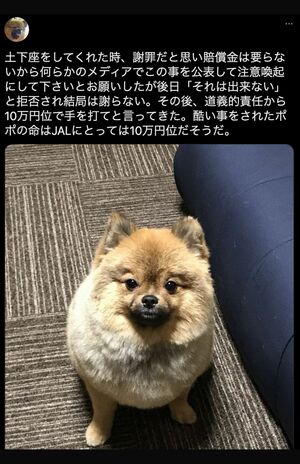 愛犬を亡くした飼い主の投稿（Twitterより）