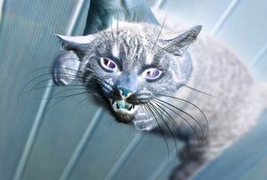 ※写真はイメージです