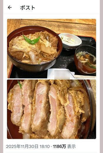 SNSで拡散されている“生焼け”のカツ丼（Xより）※編集部で画像を一部加工しています