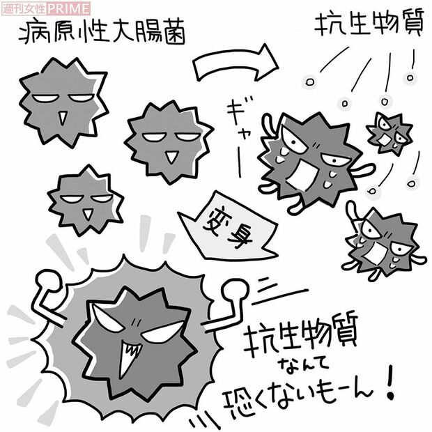 大腸菌の驚異!　膀胱炎の薬が効かない!? イラスト／ますみかん、つのだだいすけ