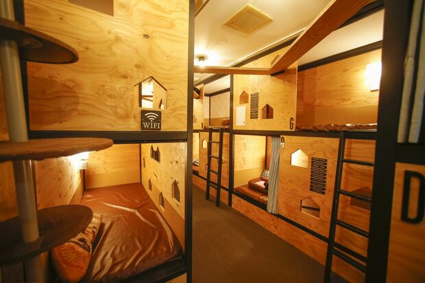 棚から気になる本を手にとって、ねこと一緒にベッドにごろん／ネコリパブリック