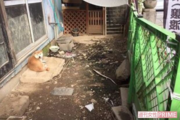 県が調査に入る前の保護施設内。庭先にも排せつ物が散乱していた（Ｅｖａ提供）