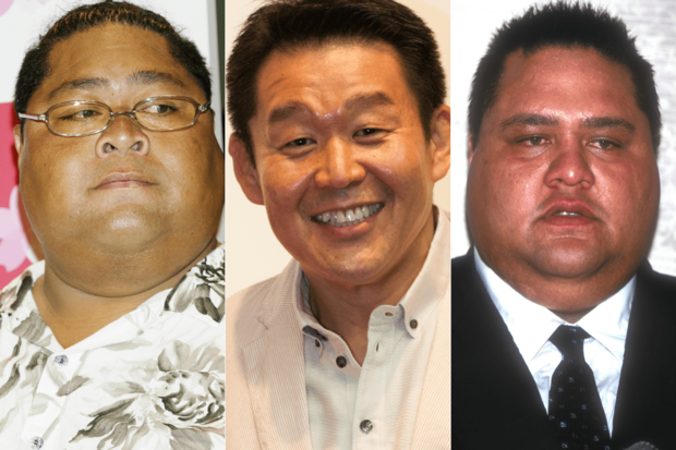 「苦手」な元力士タレントランキング！左からKONISHIKI、花田虎上、曙太郎