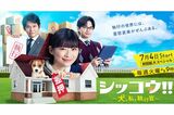 7月4日午後9時にスタートする新ドラマ『シッコウ〜犬と私と執行官〜』（テレビ朝日公式サイトより）