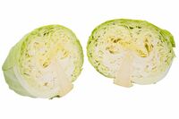 【知って楽しい雑学】キャベツの「切る」「洗う」はどちらが先? 栄養を損なわない順番とカット野菜の扱い…