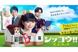 7月4日午後9時にスタートする新ドラマ『シッコウ〜犬と私と執行官〜』（テレビ朝日公式サイトより）