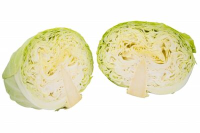 【知って楽しい雑学】キャベツの「切る」「洗う」はどちらが先? 栄養を損なわない順番とカット野菜の扱い…