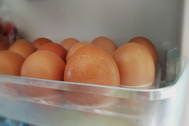 ※画像はイメージです