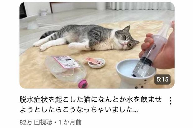 脱水状態でぐったりする「もちまる」(YouTubeチャンネル『もちまる日記』より)