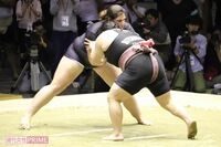 女子相撲の見えない壁を打ち砕く! 世界に影響を与えた「女性力士」の挑戦