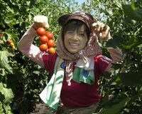 榊原郁恵「野菜は応えてくれるからペットに近い感覚」