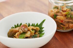 ダブル発酵　酢トックザーサイ