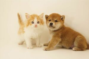 ※写真はイメージです