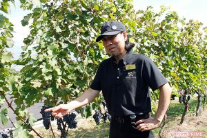 ツアーガイドをする山田さん。たまに、“おさらい”を出題してくるので油断禁物