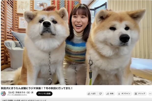 秋田犬とたわむれる芳根京子(YouTube『【公式】芳根京子の〈生〉旅』より)