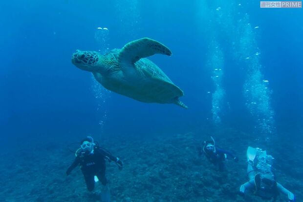 オフには仲間を招いて宮古島へ（右から2人目が中村さん）　撮影／渡邉智裕