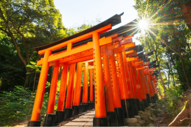 京都・伏見稲荷大社(※画像はイメージです)