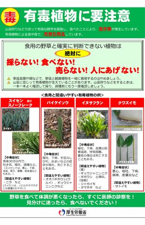 厚生労働省のリーフレットでは間違いやすい有毒植物の例などを紹介している