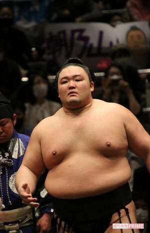 大関・朝乃山　撮影／marikatu