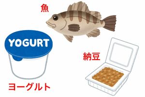 毎日の食事にプラスしたい身近な食材「タンパク質」