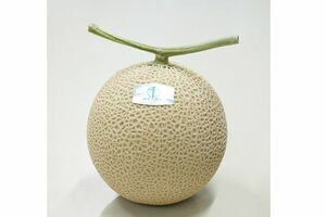 叶姉妹が差し入れした木箱入りの高級メロン（店舗公式SNSより）