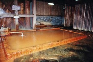 湧出口の湯は透明だが、浴槽内は酸化して赤褐色に。末梢循環障害や皮膚乾燥症なども改善。うたせ湯や寝湯もあり