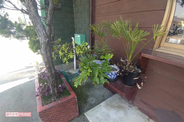 玄関前に飾っていた母親Bさんが大好きだった植物。今は半数以上も処分していて…