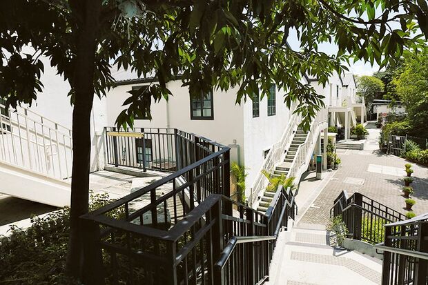 深い緑と白壁のコントラストが美しい外観