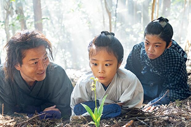 第2週（10日～15日）「キンセイラン」