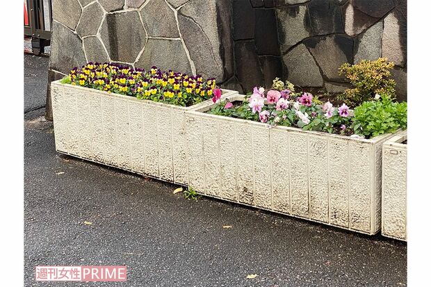 小学校の正門前にはプランターがある