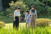 秋篠宮さまは帝王教育を受けていないため、悠仁さまが東宮へ？（8月10日撮影）