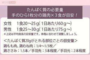 たんぱく質の必要量