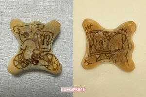 やっと出会えた! 出前コアラ(左)とオンラインコアラ(右)