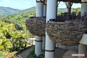 ジャングリア沖縄のパノラマダイニングにあるネスト席(鳥の巣) 撮影/編集部