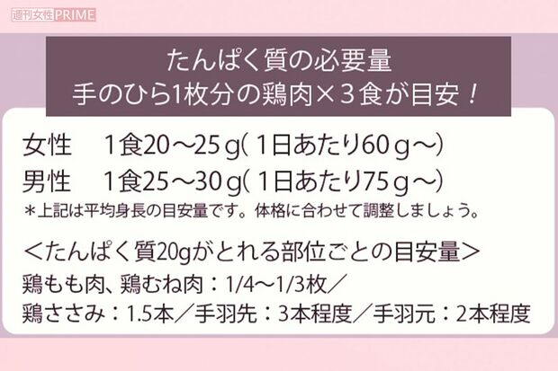 たんぱく質の必要量