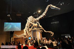 「恐ろしい手」と名づけられた、大迫力の前あしを持つデイノケイルス。「謎の恐竜」とされたが、全身骨格を世界で初めて復元