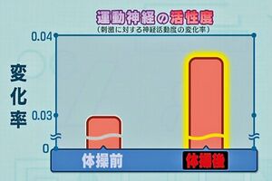 体操後（右）は運動神経の活性度が高まった。実験協力◎東京大学身体運動科学教授・中澤公孝さん