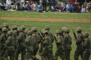 写真はイメージです