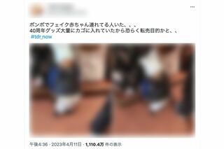 ネットに拡散された、『ボン・ヴォヤージュ』内にいたという“赤ちゃん”の人形（一部、編集部加工）