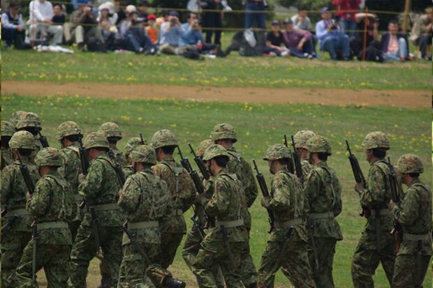 写真はイメージです