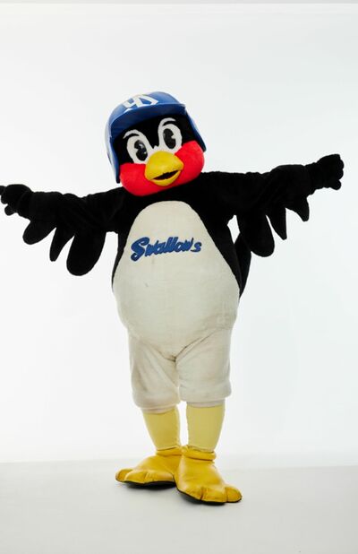 激レア！希少！つば九郎　着ぐるみ コスチューム ヤクルトスワローズ つば九郎着ぐるみ