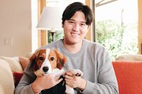 大谷翔平の愛犬・デコピングッズが続々登場、デーブ・スペクターは6100円の服を着てテレビ出演「大谷の許可…