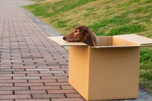 ※画像はイメージです