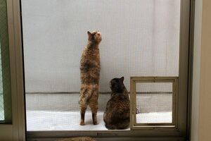 写真提供／木津イチロウさん