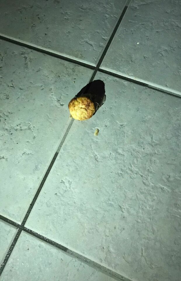 玄関先に投げ込まれたたこ焼き