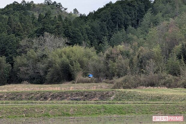 《京都小6男児行方不明事件》ブルーシートがかけられた、遺体発見現場